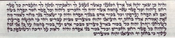 תפילין פיצפונים רש"י + ר"ת ביחד