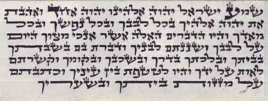 הרב נחמן גולדברגר - לחץ לגודל מלא 