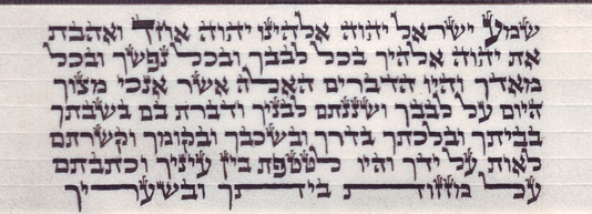 תפילין גסות. נוסח אשכנזי.  הסופר: יוסף קובוס